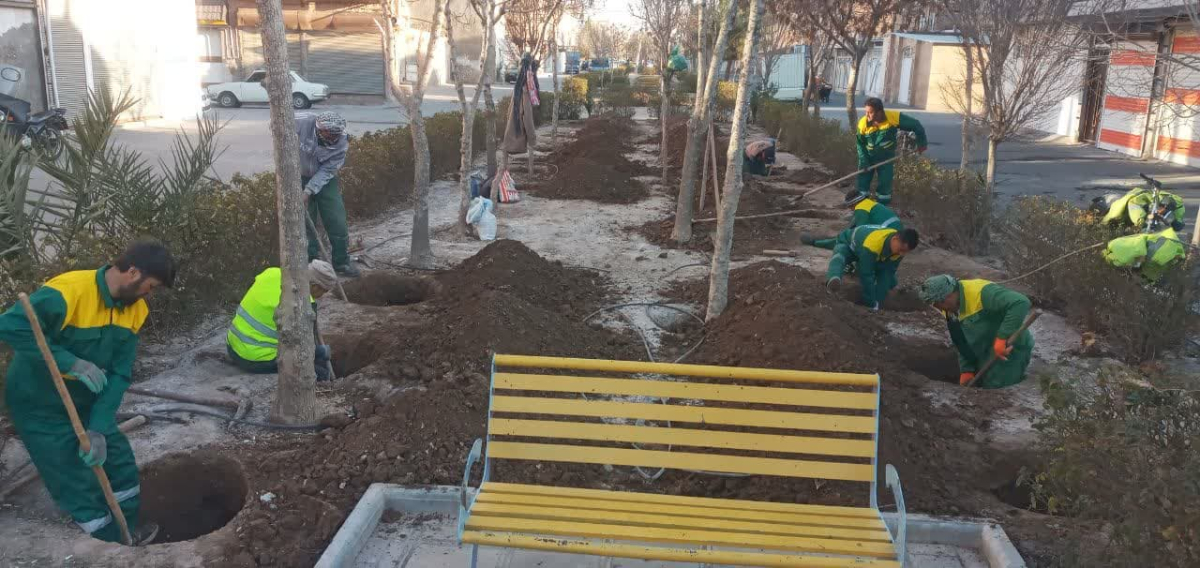 بهسازی فضای سبز بلوار جلال آل احمد با کاشت درختان مثمر 